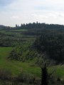 Fiesole - Parco di Montececeri-34